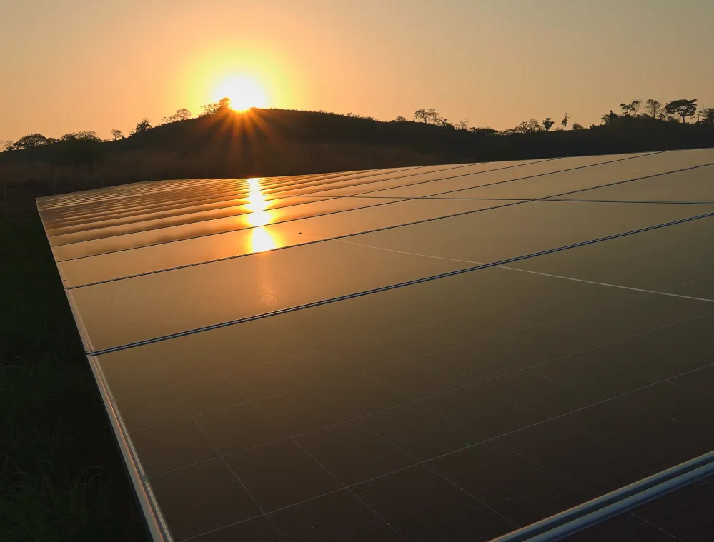 Large solar panel array reflecting sunlight at sunrise, with the sun rising over a hill and trees in the background, illustrating renewable energy and sustainability.