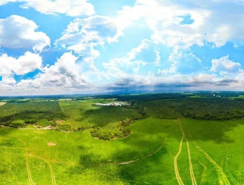 A panoramic aerial view of a vast green landscape with open fields, patches of forest, and scattered clouds in a bright blue sky. The horizon stretches far into the distance, showcasing agricultural and natural land under daylight.