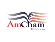 AmCham.jpeg
